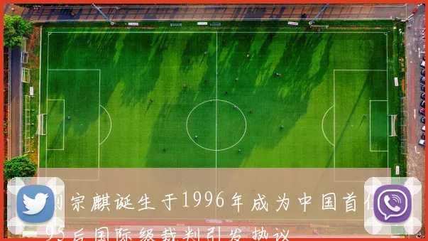刘宗麒诞生于1996年成为中国首位95后国际级裁判引发热议