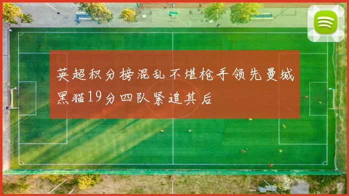 英超积分榜混乱不堪枪手领先曼城黑猫19分四队紧追其后